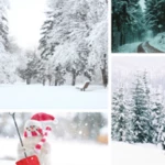 snow wallpapers & background android application logo